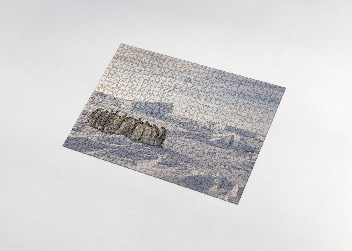 Emperor Penguins on the Antarctic Ice jigsaw puzzle - assembled puzzle