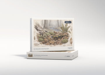 Fire Salamander on the Forest Floor jigsaw puzzle - gift box