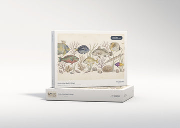 Fish of the Reef Collage jigsaw puzzle - gift box