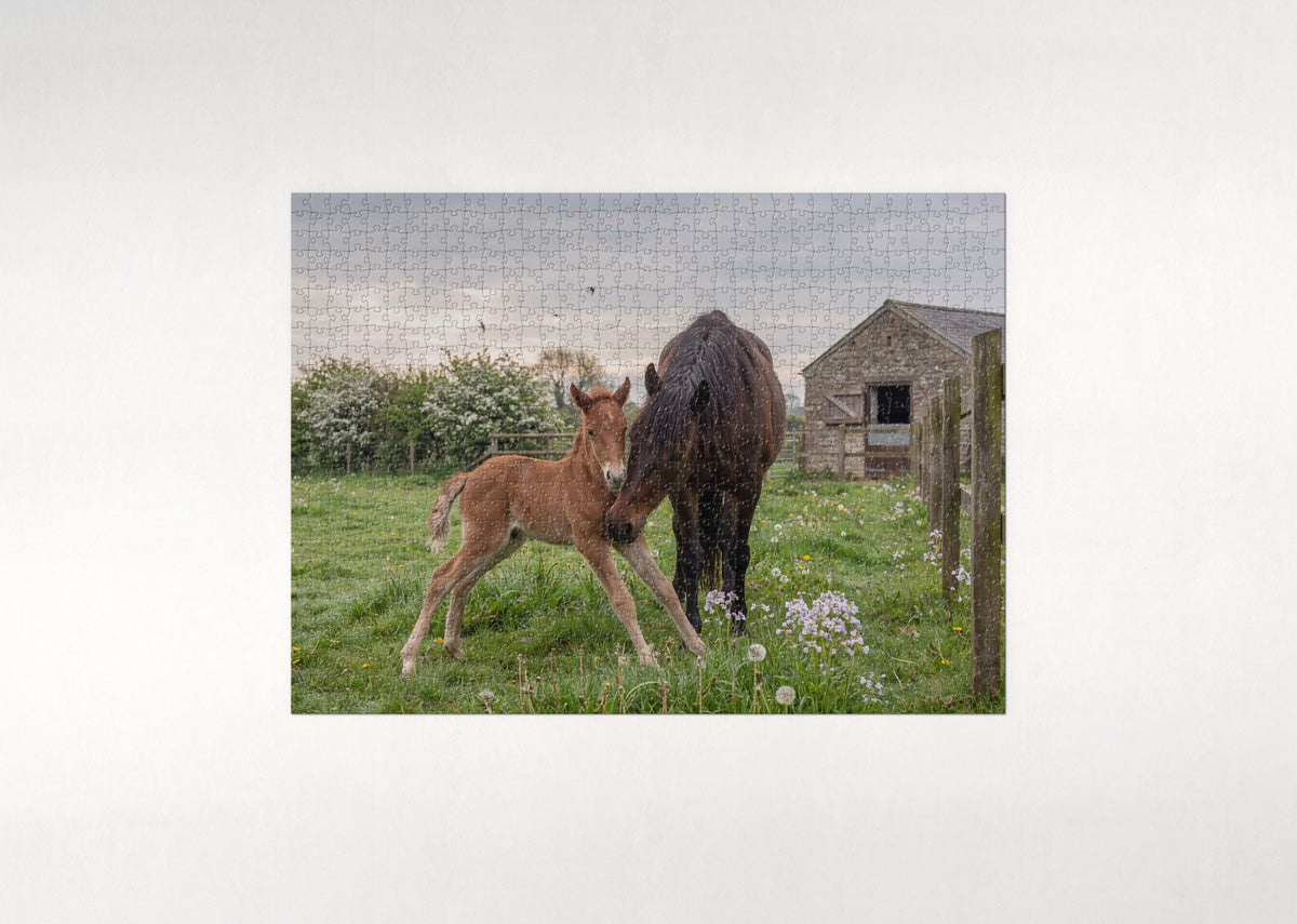 Foal Taking Its First Steps in the Spring Pasture jigsaw puzzle - flat puzzle