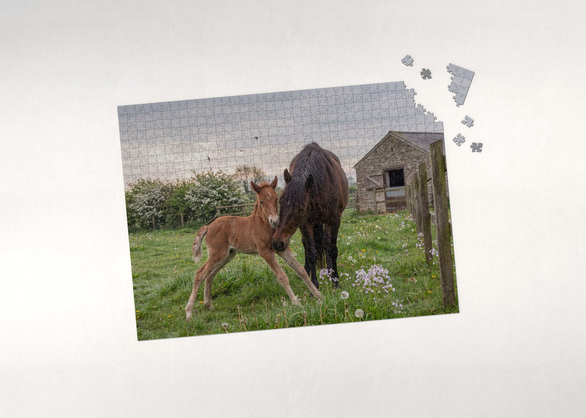 Foal Taking Its First Steps in the Spring Pasture jigsaw puzzle - puzzle with loose pieces