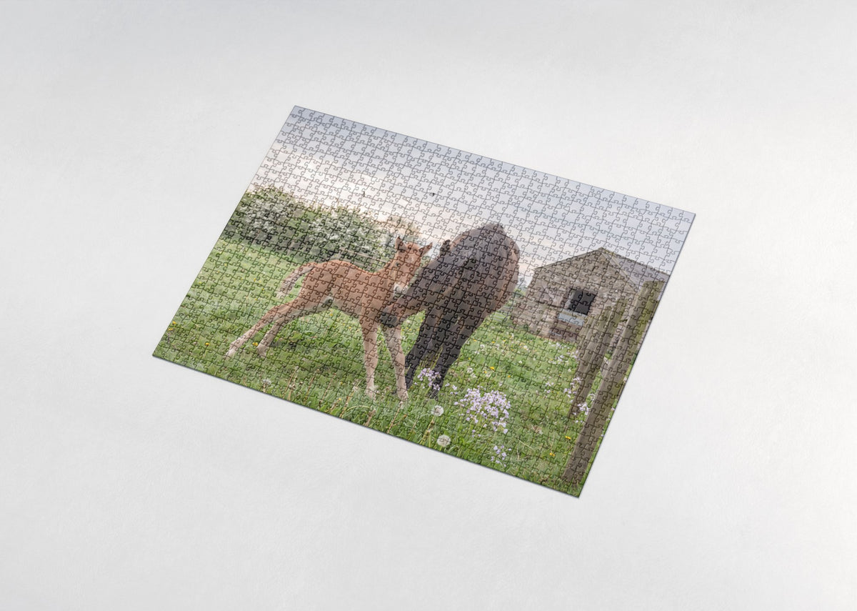Foal Taking Its First Steps in the Spring Pasture jigsaw puzzle - assembled puzzle
