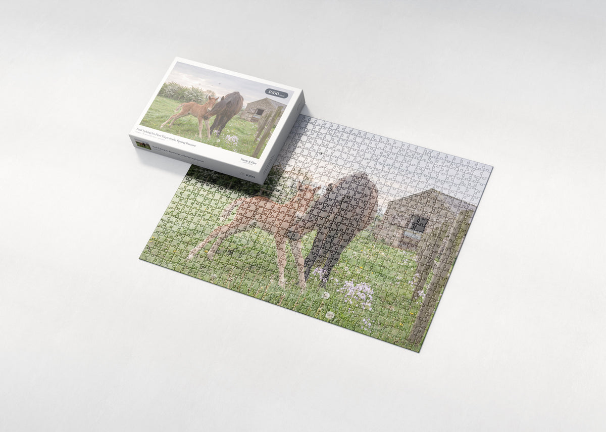 Foal Taking Its First Steps in the Spring Pasture jigsaw puzzle - box and puzzle