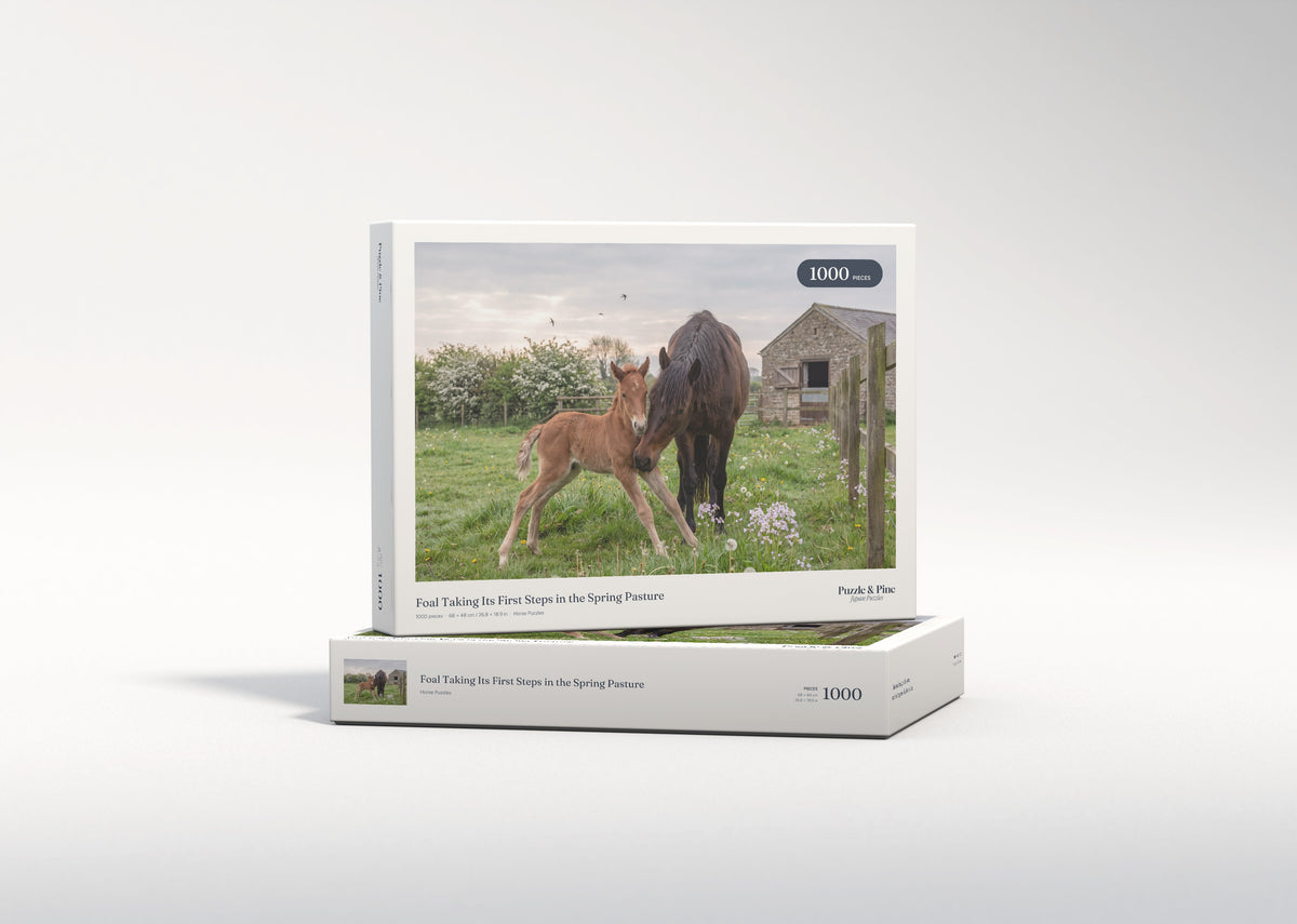 Foal Taking Its First Steps in the Spring Pasture jigsaw puzzle - gift box