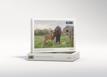 Foal Taking Its First Steps in the Spring Pasture jigsaw puzzle - gift box