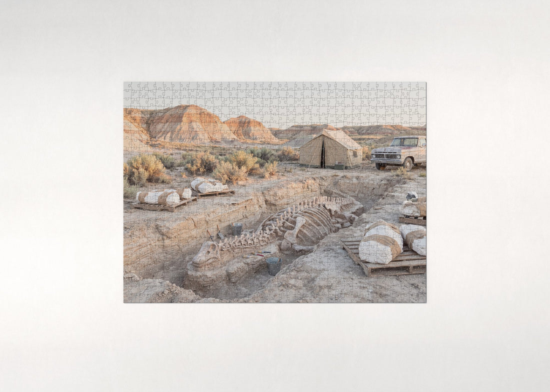 Fossil Dig Site at Sunset jigsaw puzzle - gift box