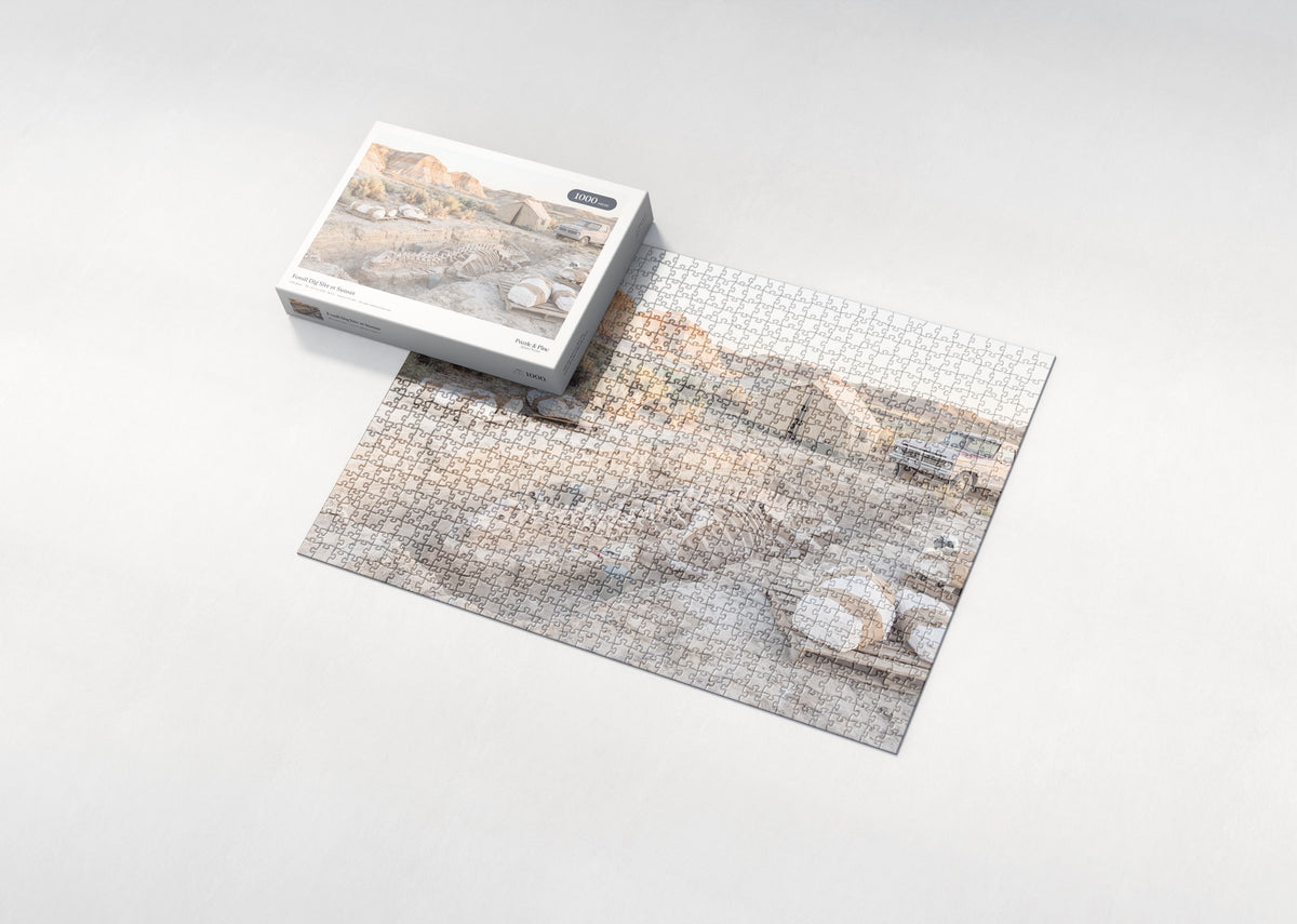 Fossil Dig Site at Sunset jigsaw puzzle - box and puzzle