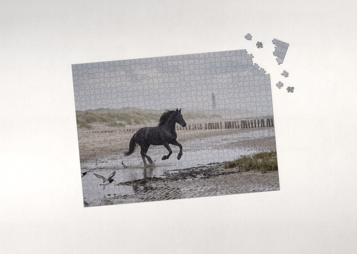 Friesian Galloping the Beach jigsaw puzzle - puzzle with loose pieces