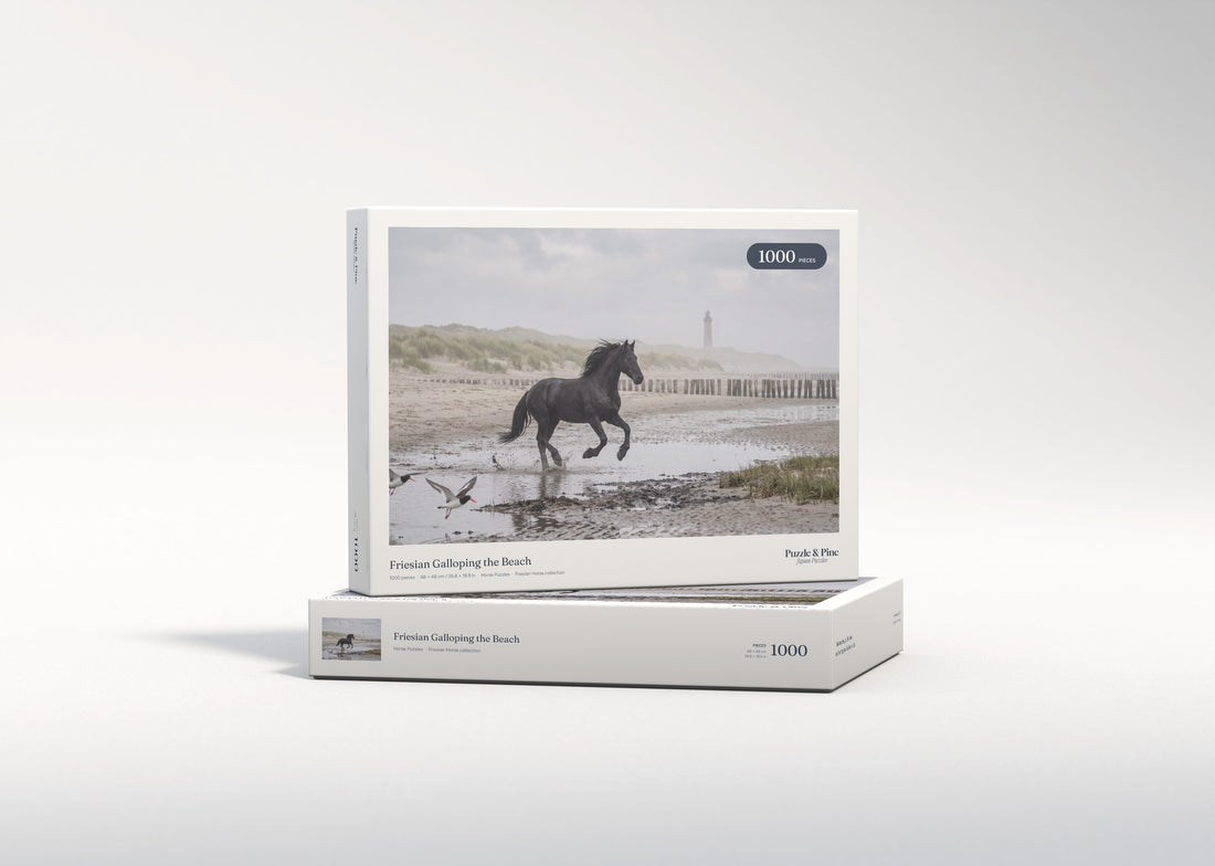 Friesian Galloping the Beach jigsaw puzzle - gift box