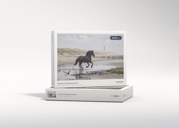 Friesian Galloping the Beach jigsaw puzzle - gift box
