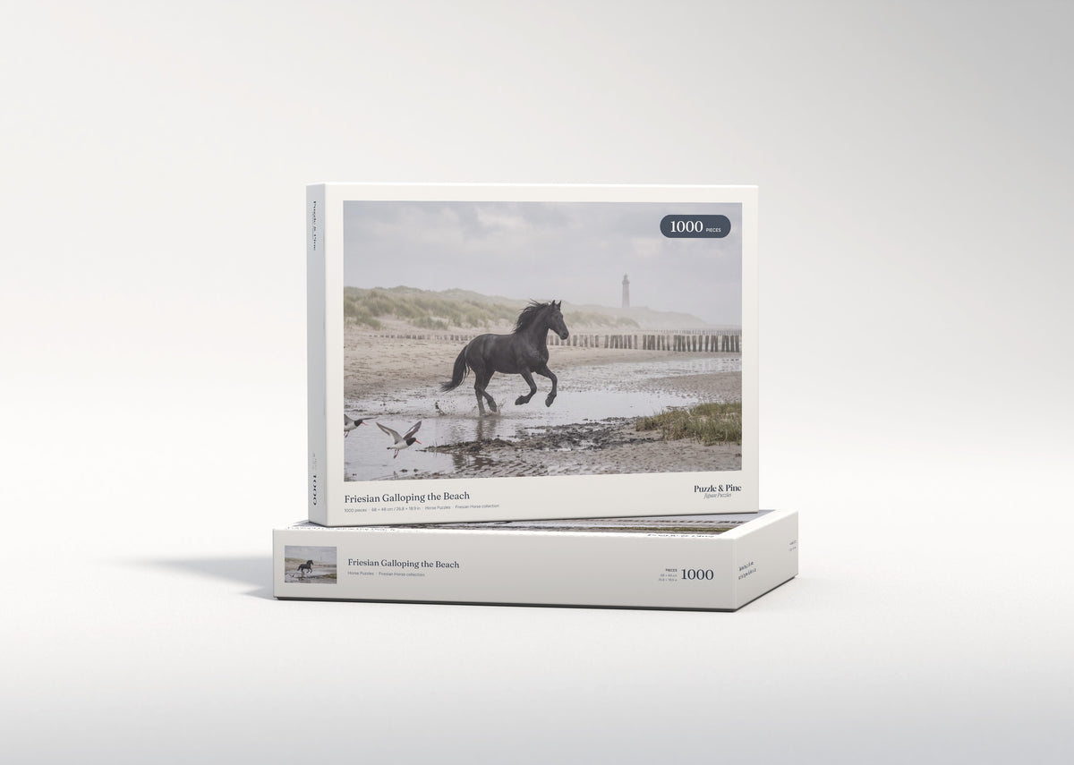 Friesian Galloping the Beach jigsaw puzzle - gift box