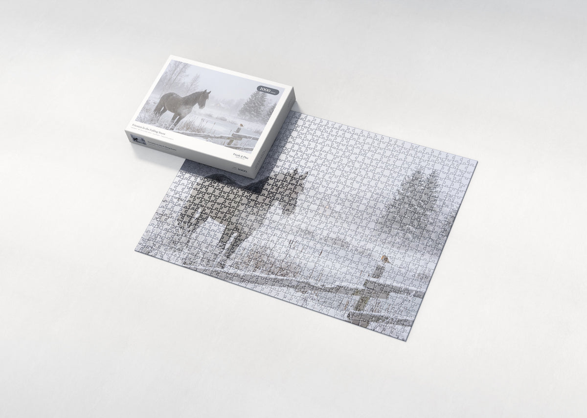 Friesian in the Falling Snow jigsaw puzzle - box and puzzle