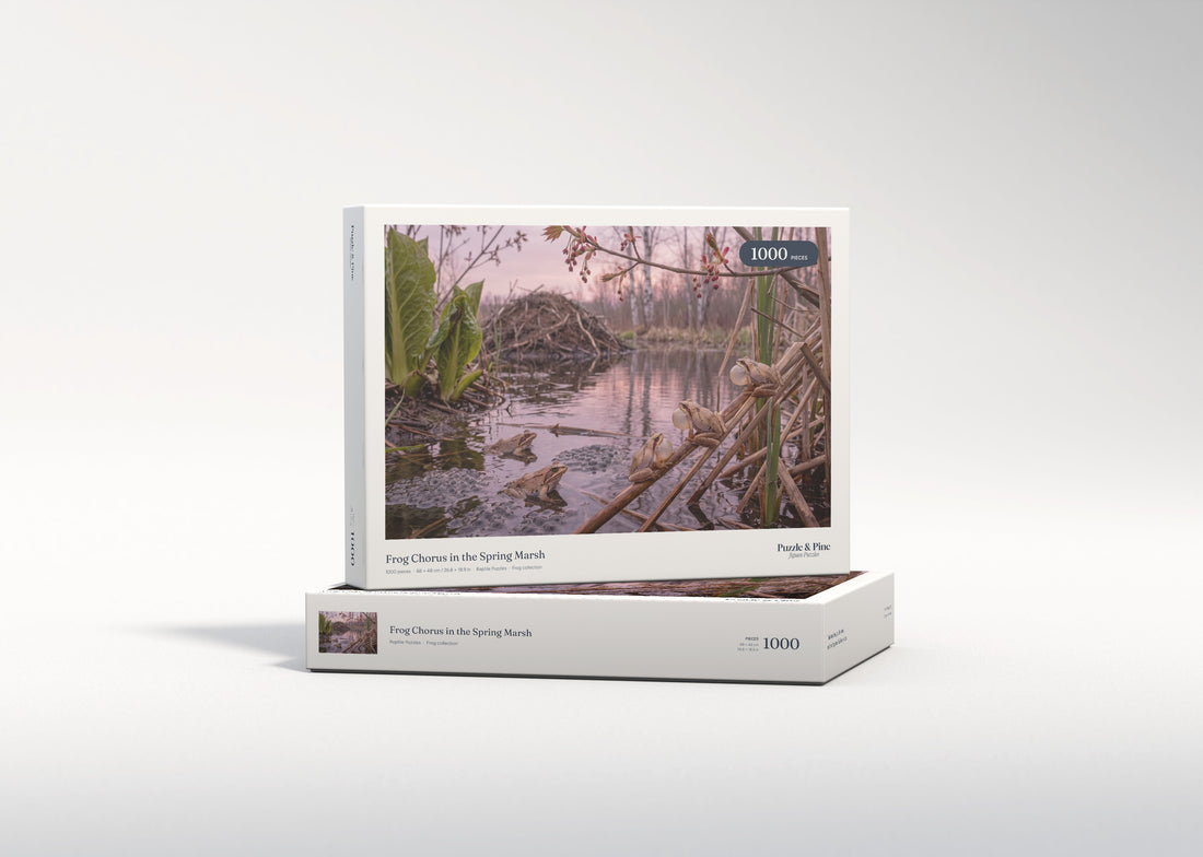 Frog Chorus in the Spring Marsh jigsaw puzzle - gift box