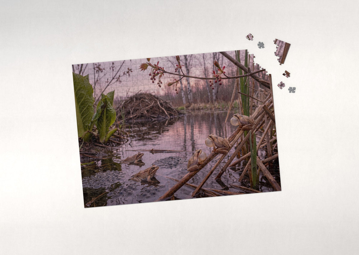Frog Chorus in the Spring Marsh jigsaw puzzle - puzzle with loose pieces