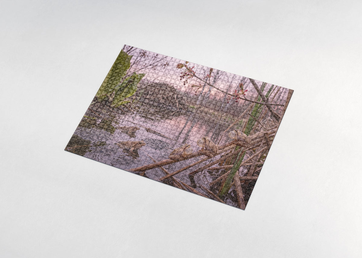 Frog Chorus in the Spring Marsh jigsaw puzzle - assembled puzzle