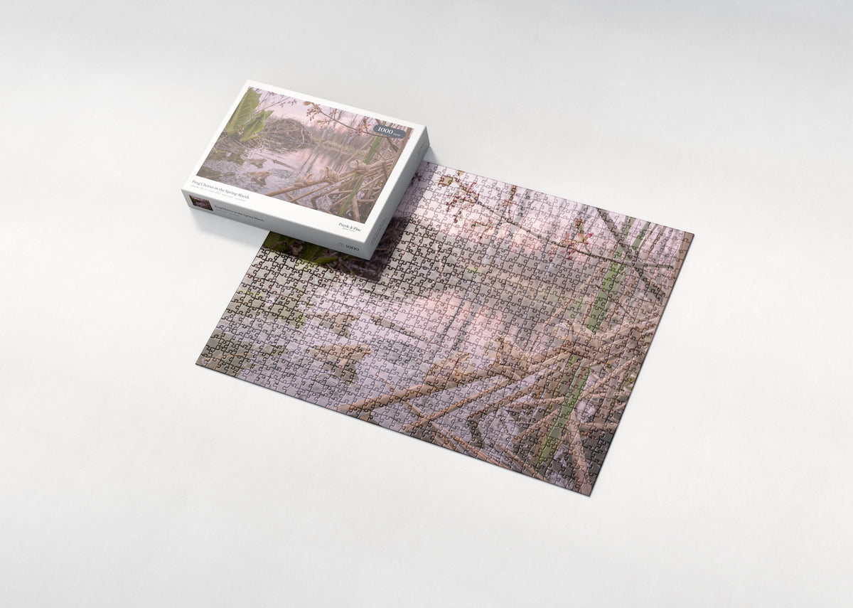 Frog Chorus in the Spring Marsh jigsaw puzzle - box and puzzle