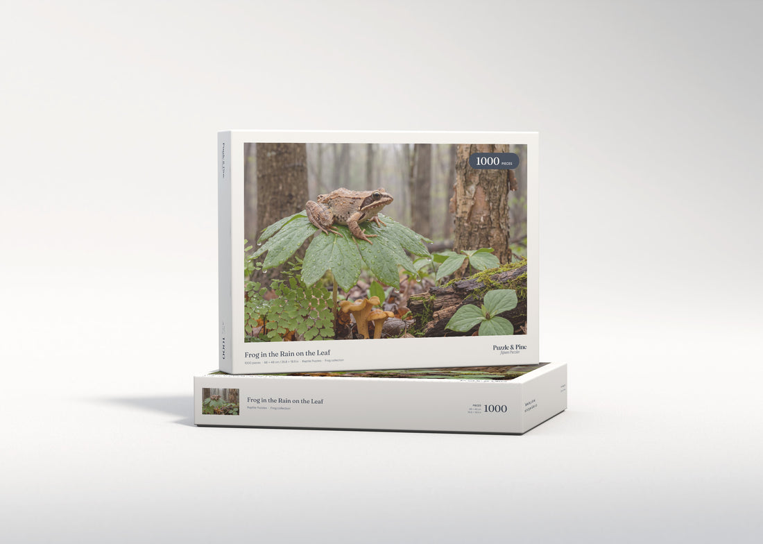 Frog in the Rain on the Leaf jigsaw puzzle - gift box