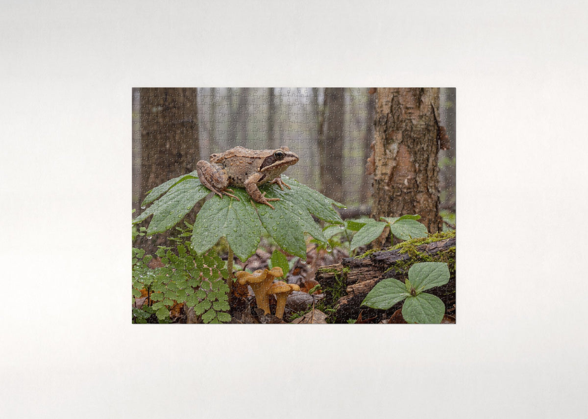 Frog in the Rain on the Leaf jigsaw puzzle - flat puzzle