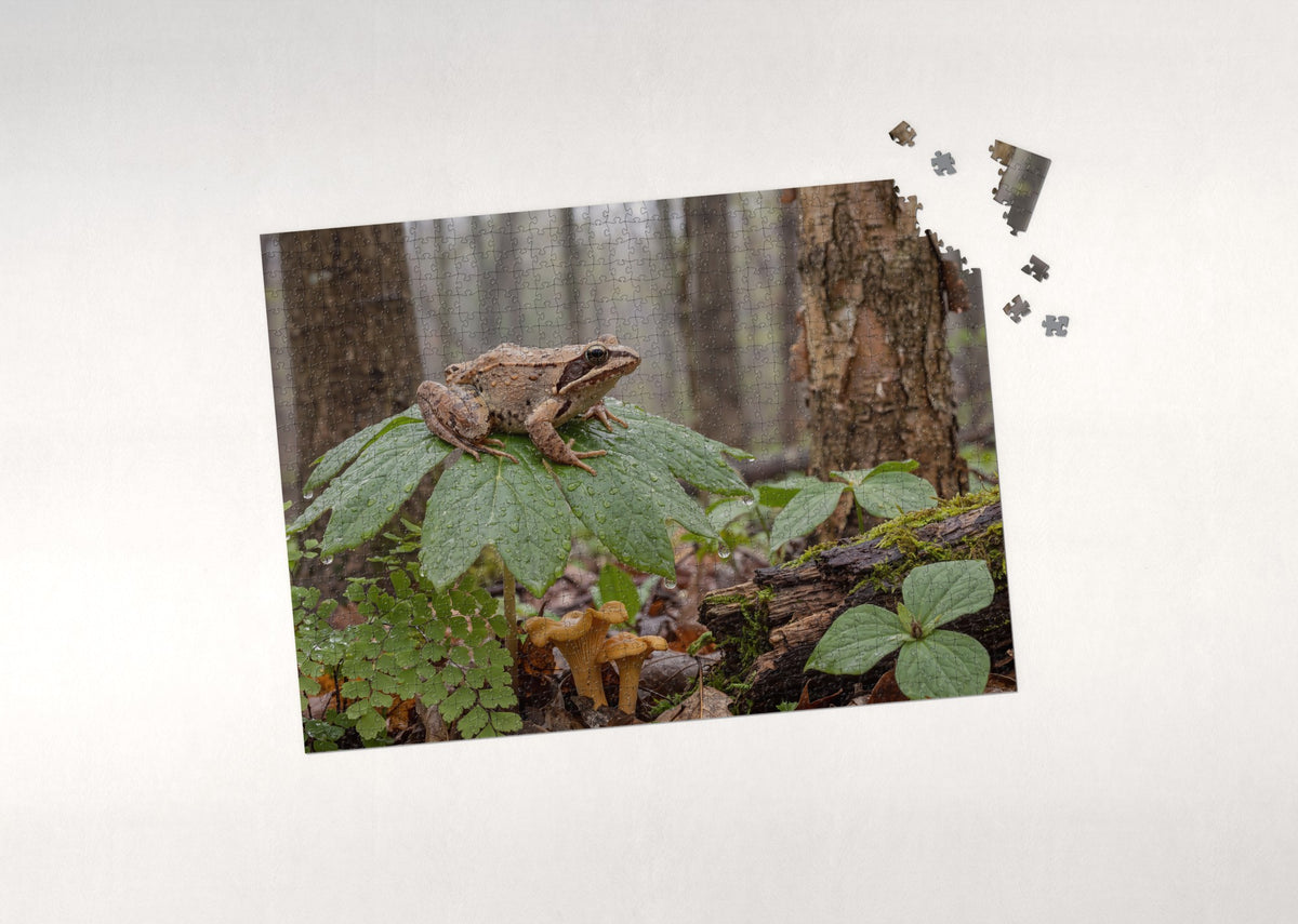 Frog in the Rain on the Leaf jigsaw puzzle - puzzle with loose pieces