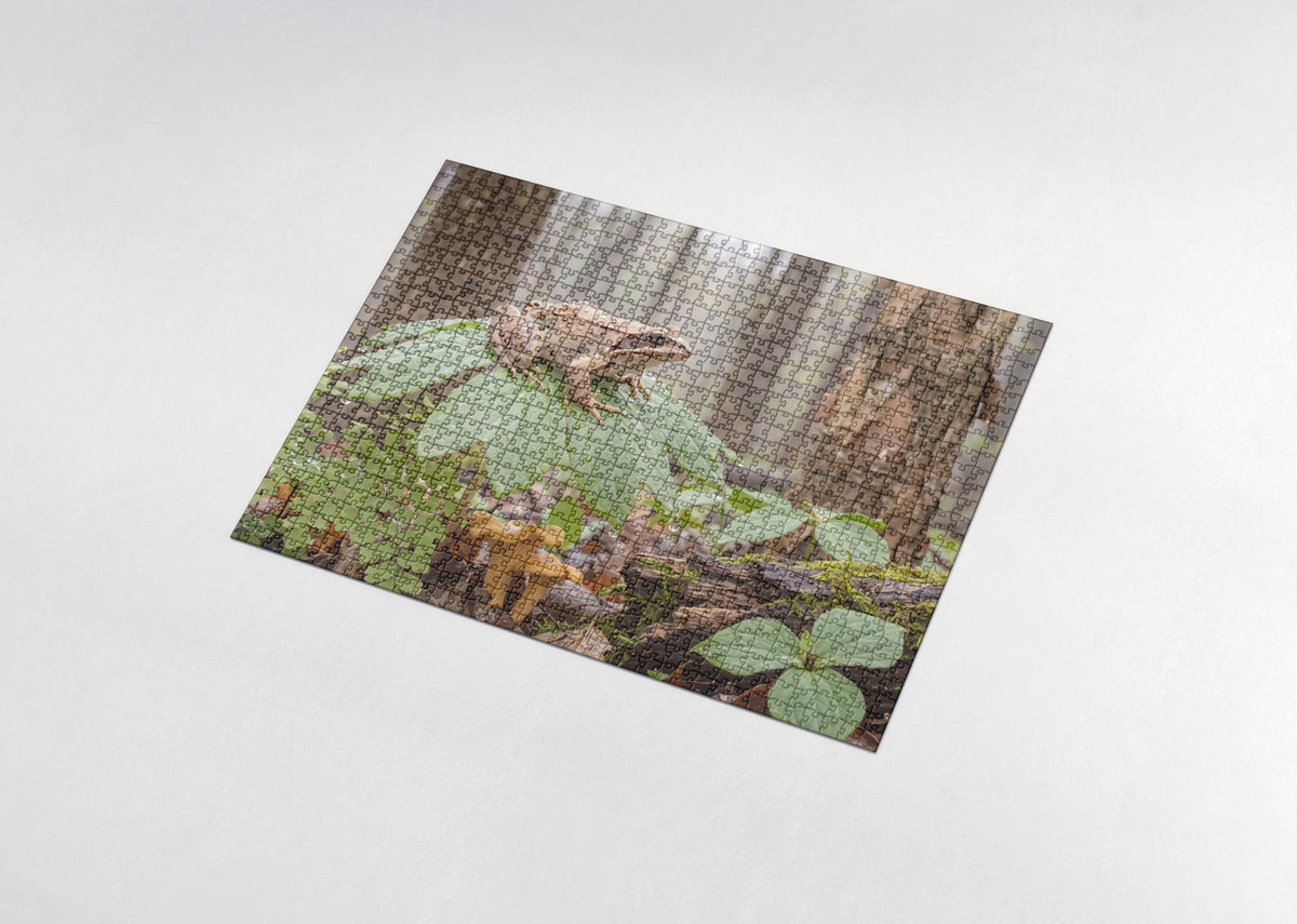 Frog in the Rain on the Leaf jigsaw puzzle - assembled puzzle