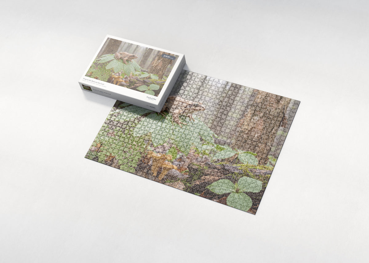 Frog in the Rain on the Leaf jigsaw puzzle - box and puzzle