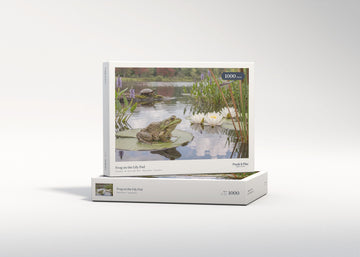 Frog on the Lily Pad jigsaw puzzle - gift box