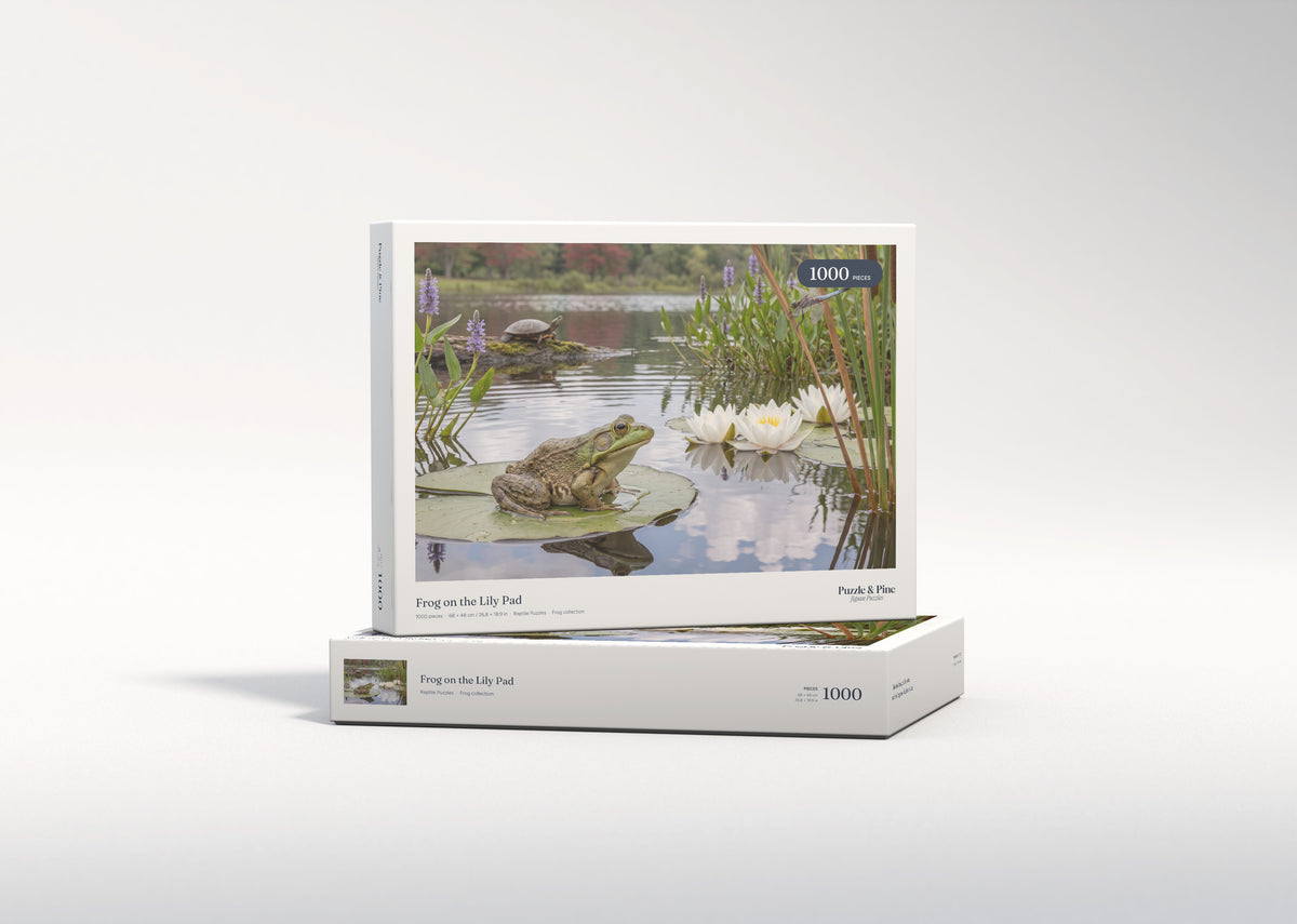 Frog on the Lily Pad jigsaw puzzle - gift box