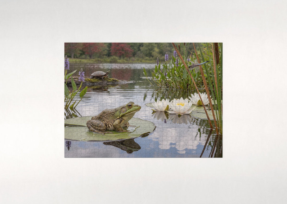Frog on the Lily Pad jigsaw puzzle - gift box