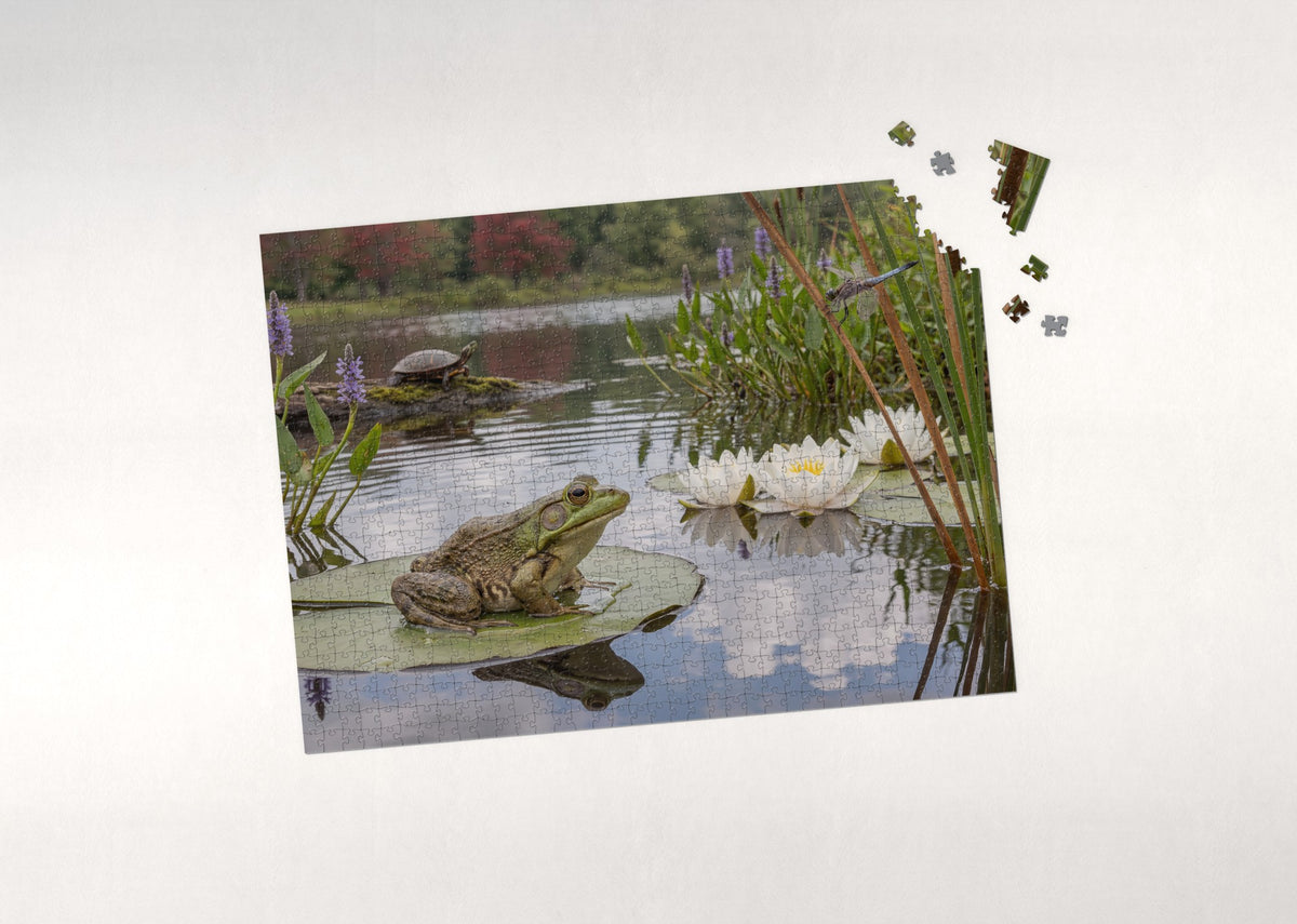 Frog on the Lily Pad jigsaw puzzle - puzzle with loose pieces