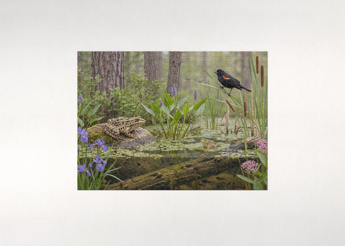 Frog Paradise Pond jigsaw puzzle - gift box