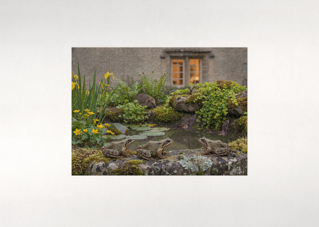 Frogs in the Garden Pond at Dusk jigsaw puzzle - gift box