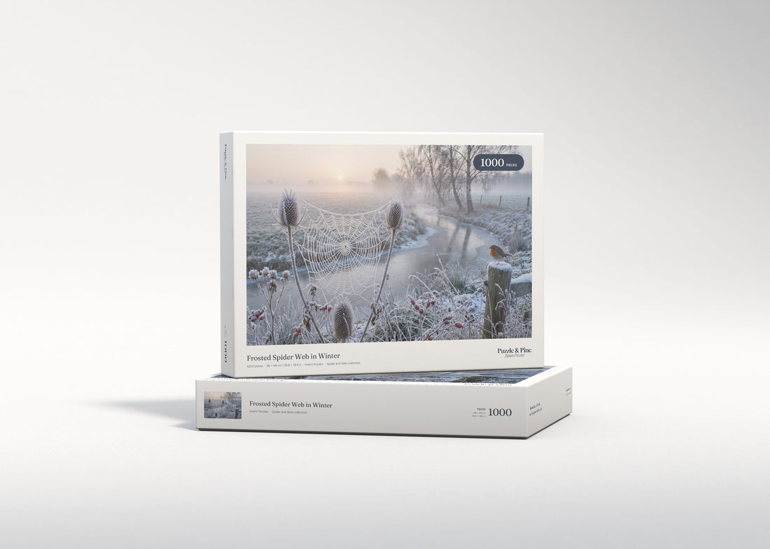 Frosted Spider Web in Winter jigsaw puzzle - gift box