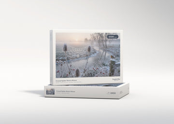 Frosted Spider Web in Winter jigsaw puzzle - gift box