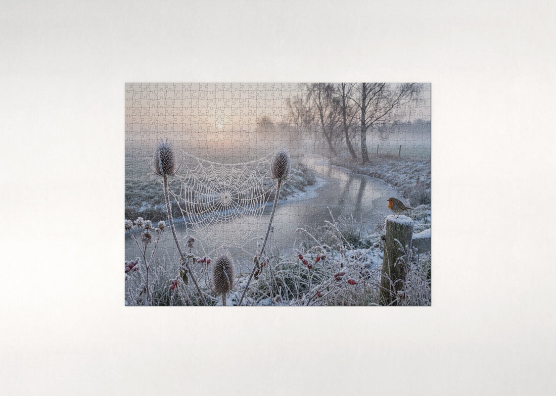 Frosted Spider Web in Winter jigsaw puzzle - gift box