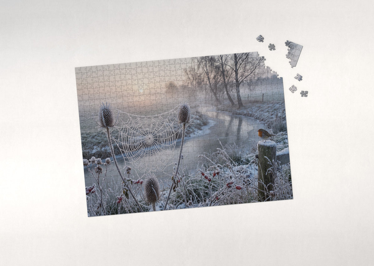 Frosted Spider Web in Winter jigsaw puzzle - puzzle with loose pieces