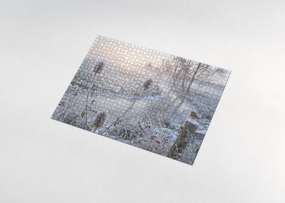 Frosted Spider Web in Winter jigsaw puzzle - assembled puzzle