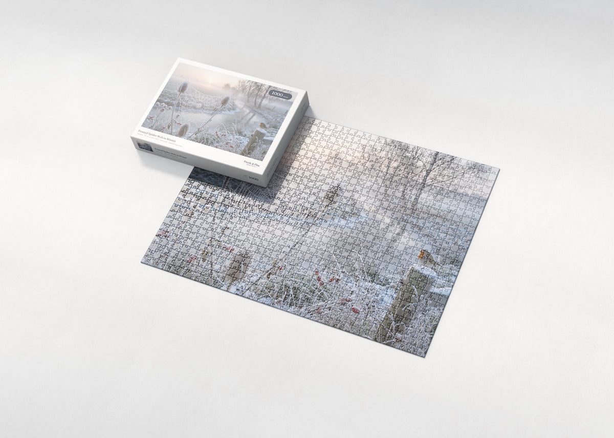 Frosted Spider Web in Winter jigsaw puzzle - box and puzzle