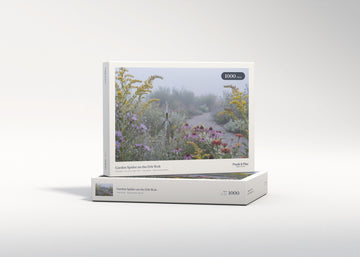 Garden Spider on the Orb Web jigsaw puzzle - gift box