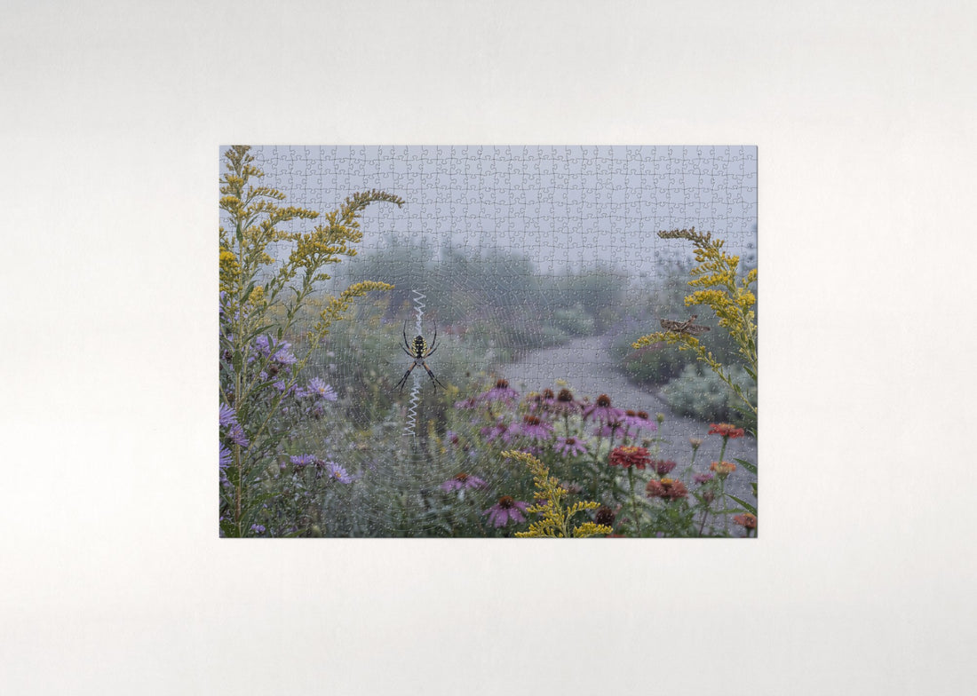 Garden Spider on the Orb Web jigsaw puzzle - gift box