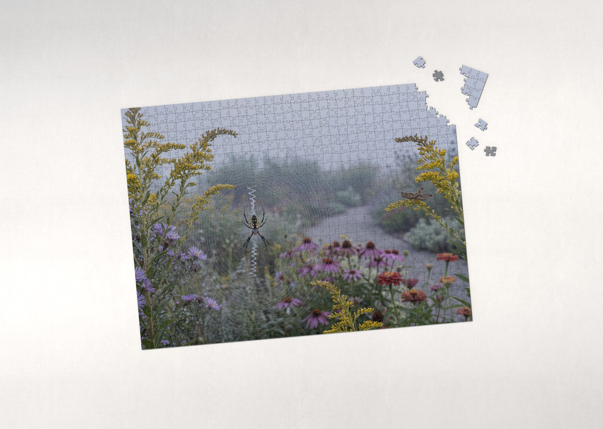 Garden Spider on the Orb Web jigsaw puzzle - puzzle with loose pieces