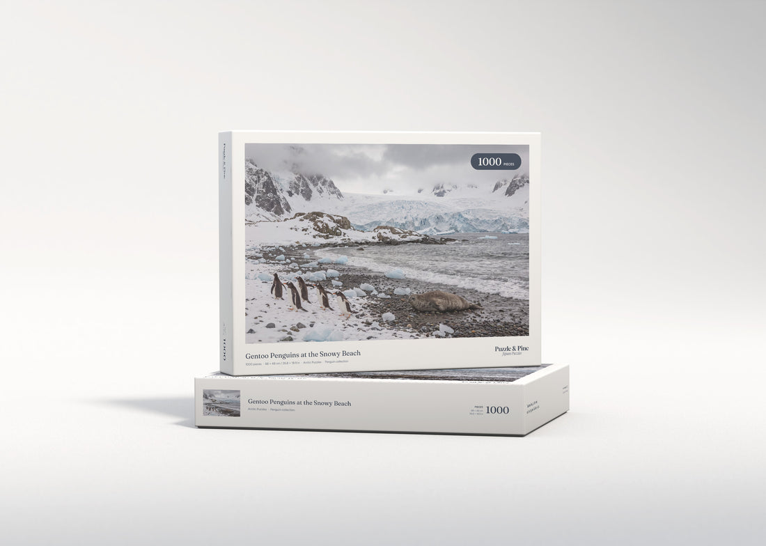 Gentoo Penguins at the Snowy Beach jigsaw puzzle - gift box