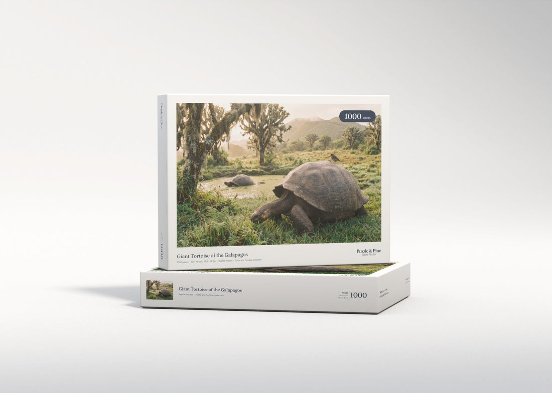 Giant Tortoise of the Galapagos jigsaw puzzle - gift box