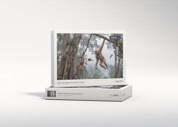 Gibbon Swinging Through the Canopy jigsaw puzzle - gift box