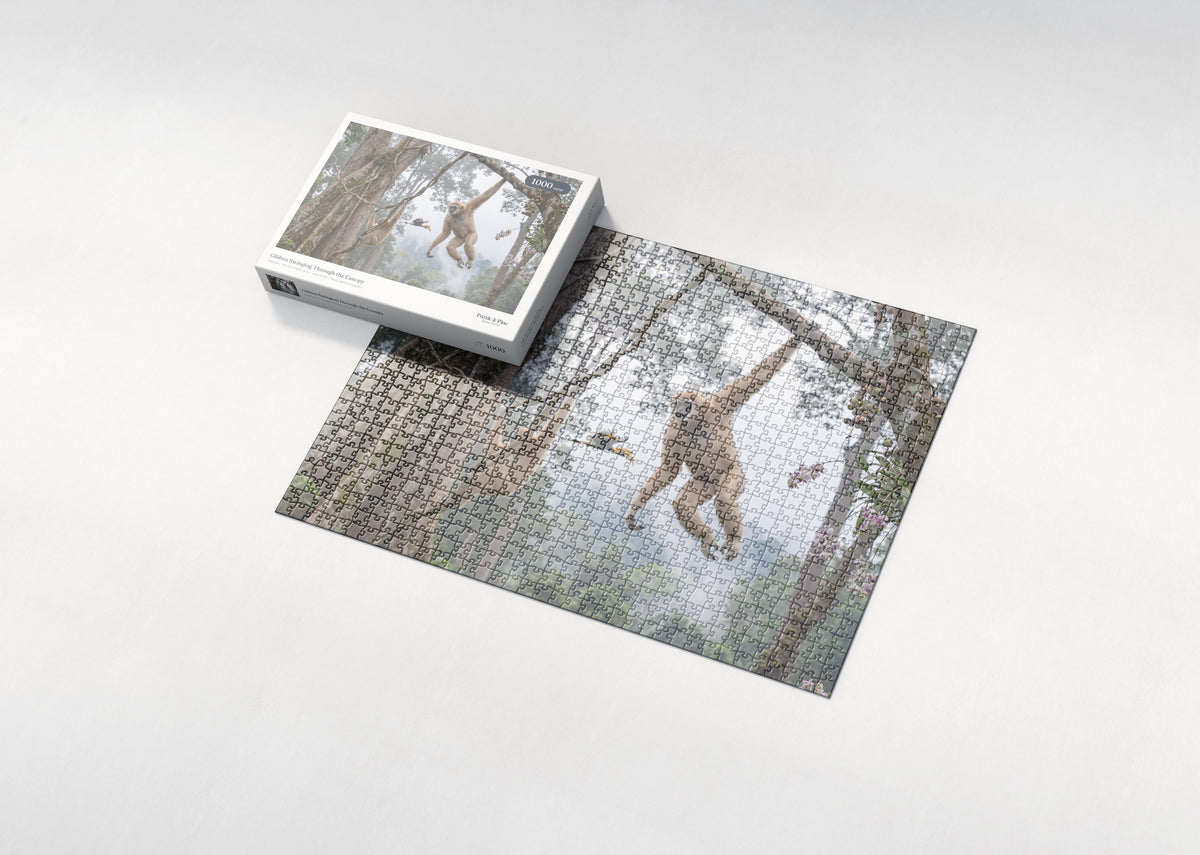 Gibbon Swinging Through the Canopy jigsaw puzzle - box and puzzle