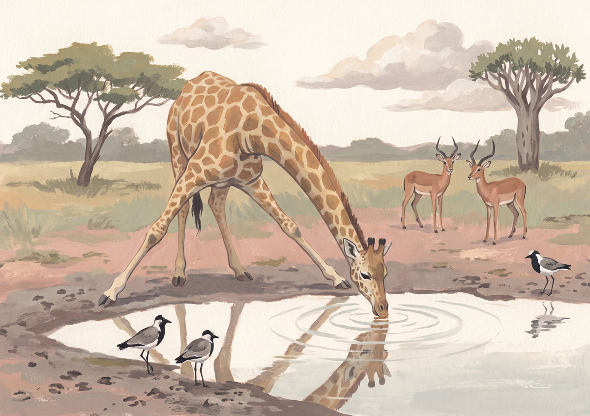 Giraffe Bending to Drink at the Pool jigsaw puzzle