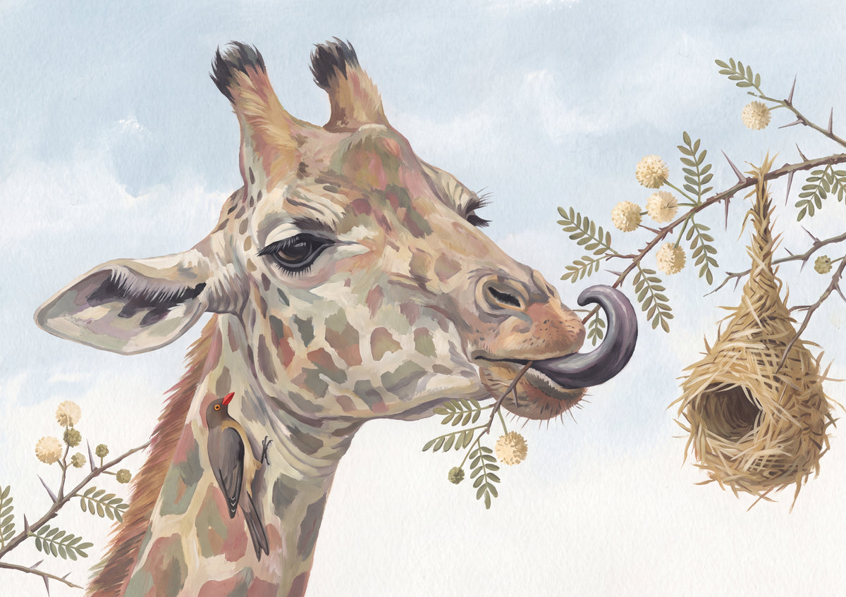 Giraffe Portrait Among the Leaves jigsaw puzzle