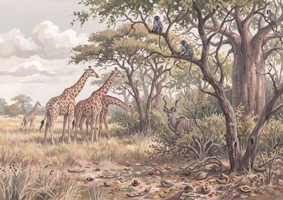 Giraffes at the Edge of the Woodland jigsaw puzzle