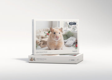 Golden Hamster Portrait jigsaw puzzle - gift box
