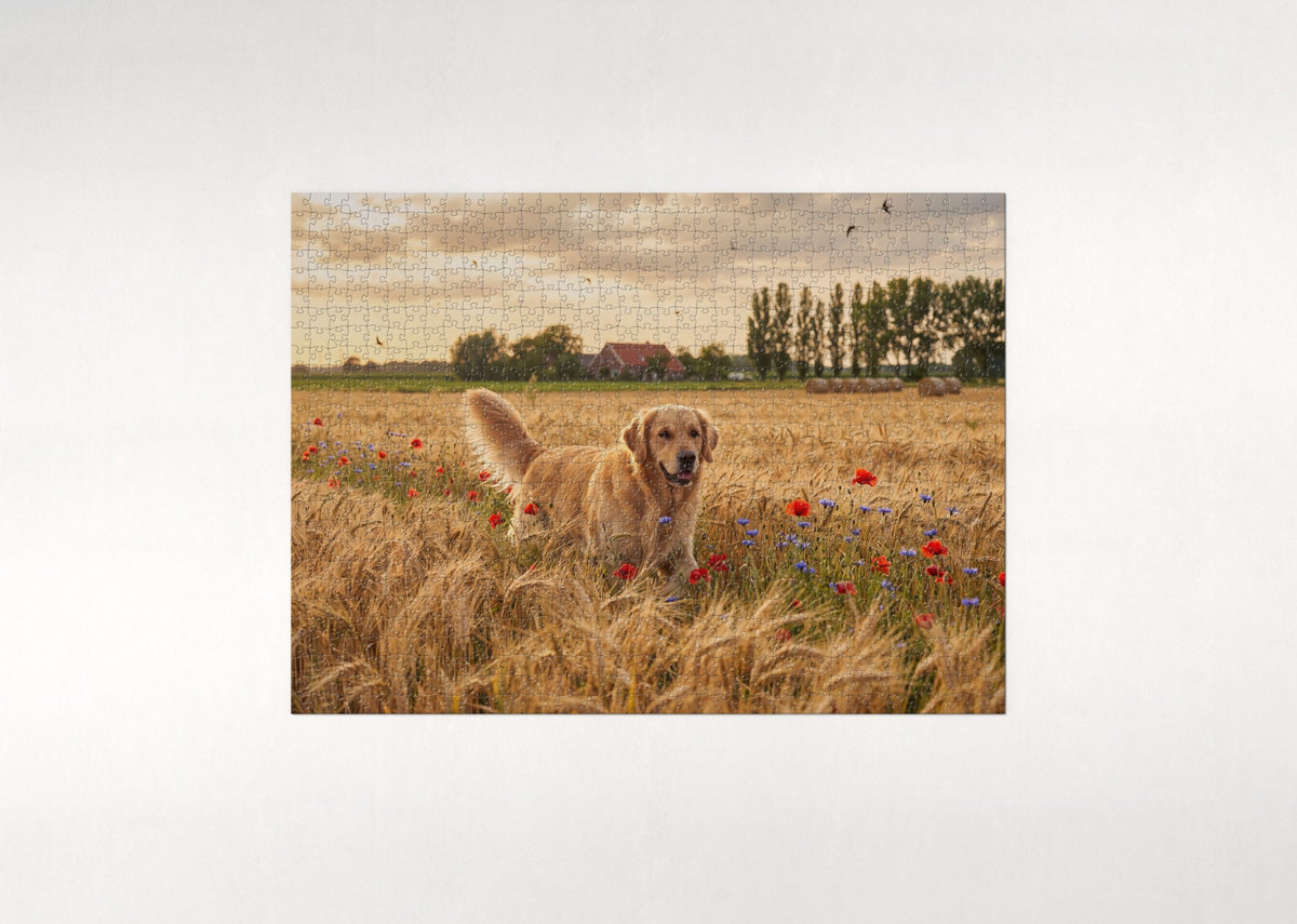 Golden Retriever in the Golden Wheat Field jigsaw puzzle - flat puzzle
