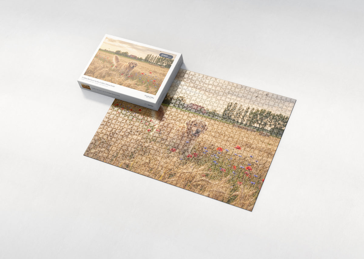 Golden Retriever in the Golden Wheat Field jigsaw puzzle - box and puzzle